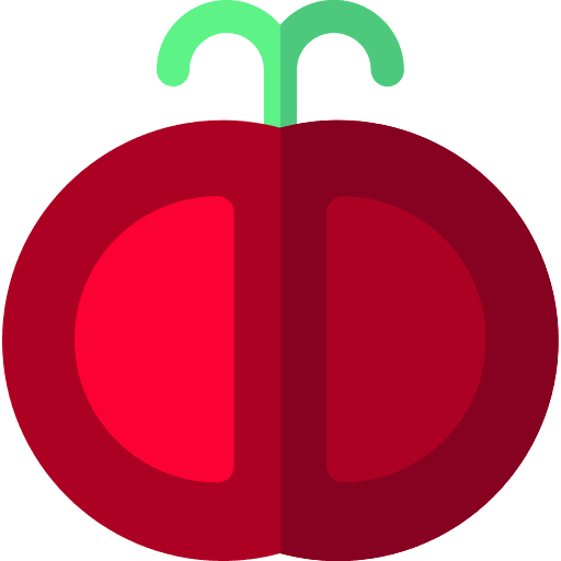 Pomodoro Code